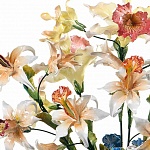 Аксессуар F.15 орхидеи LORENZON