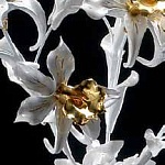 Аксессуар FV.910 орхидеи LORENZON