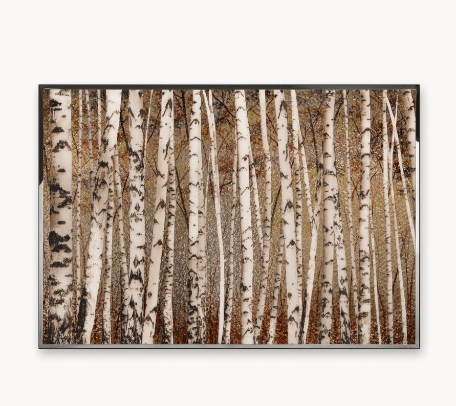 Панно Visionnaire Birches VISIONNAIRE