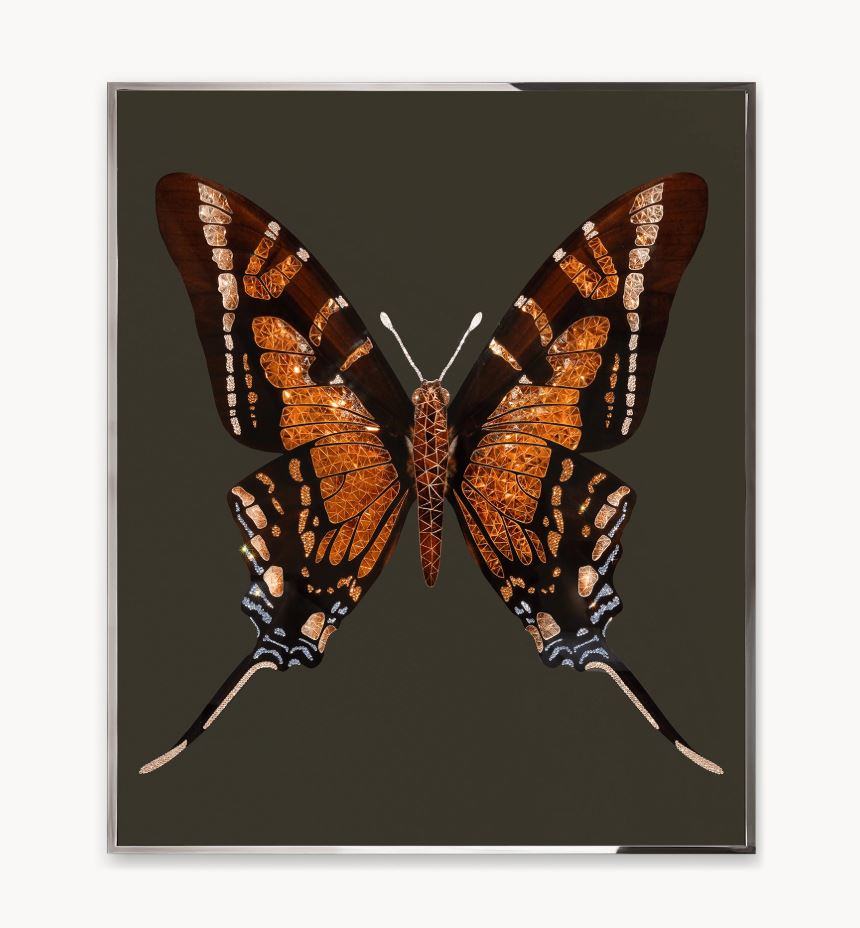 Панно, картина Visionnaire Brown Butterfly VISIONNAIRE
