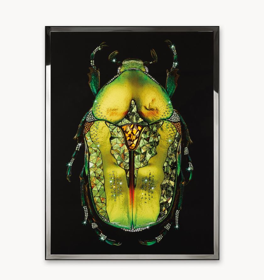 Панно, картина Visionnaire Coleottero Verde, Nero, Giallo, Ambra VISIONNAIRE