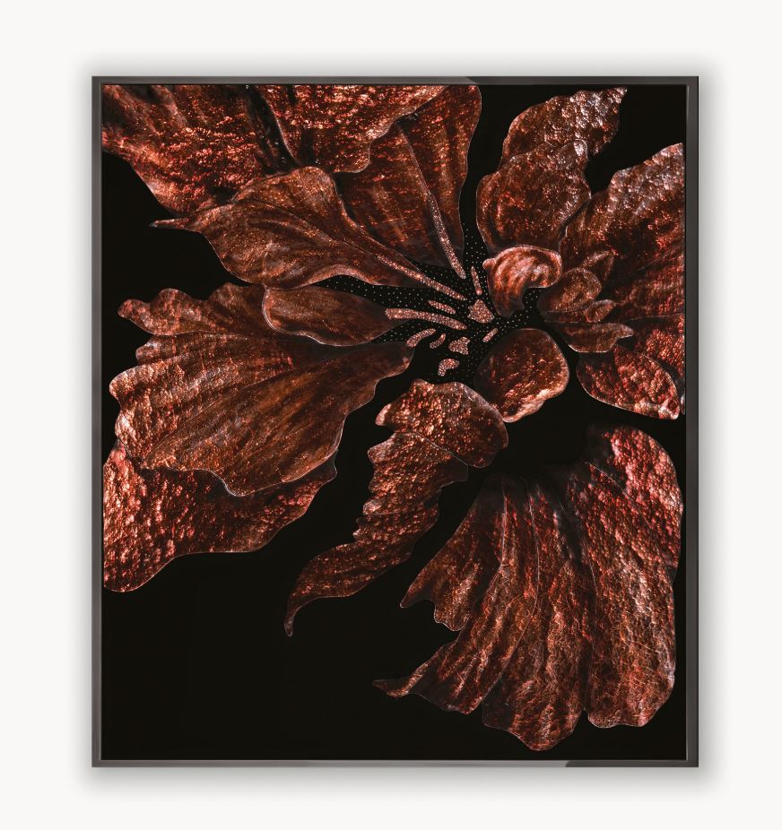 Панно, картина Visionnaire Brown Flower VISIONNAIRE