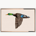 Панно Visionnaire Anatra in Volo VISIONNAIRE
