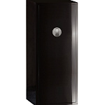 Сейф для оружия/ювелирных изделий Agresti Arco Guns AGRESTI