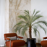 Кресло-шезлонг Potocco Stay 909\PL POTOCCO