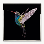 Панно, картина Visionnaire Colibri Mini, Big VISIONNAIRE
