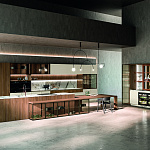 Кухня Aster Quintessence III Aster Cucine