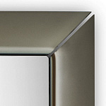 Зеркало Fiam Caadre 610/ V FIAM