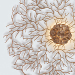 Светильник настенно-потолочный Coral SERIP