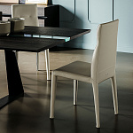 Стул Cattelan Italia Agatha Flex CATTELAN ITALIA