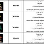 Панно Visionnaire Bonsai A, B, C, D VISIONNAIRE