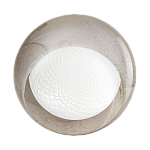 Бра Italamp Tasha 214/AP ITALAMP