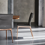 Стул Cattelan Italia Sofia CATTELAN ITALIA