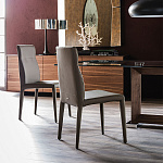 Стул Cattelan Italia Agatha Flex CATTELAN ITALIA