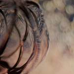 Люстра Barovier&Toso Vallonné BAROVIER&TOSO