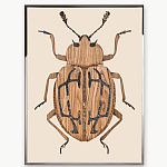 Панно Visionnaire Beetle A, B, C, D, E, F VISIONNAIRE