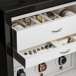 Сейф для ювелирных изделий Agresti Carbon Dream 988W AGRESTI