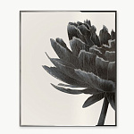 Панно Visionnaire Black Flower VISIONNAIRE